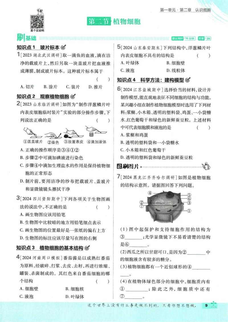 2025版《初中必刷题》生物RJ7上_初中全科电子版试卷练习试题_25初中必刷题_2025版《初中必刷题》生物RJ7上