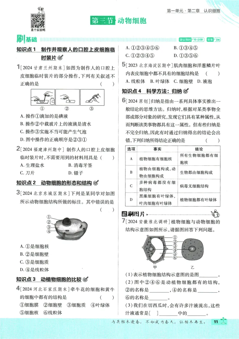2025版《初中必刷题》生物RJ7上_初中全科电子版试卷练习试题_25初中必刷题_2025版《初中必刷题》生物RJ7上