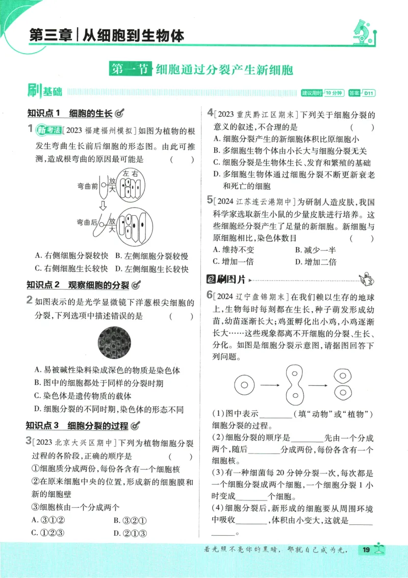 2025版《初中必刷题》生物RJ7上_初中全科电子版试卷练习试题_25初中必刷题_2025版《初中必刷题》生物RJ7上