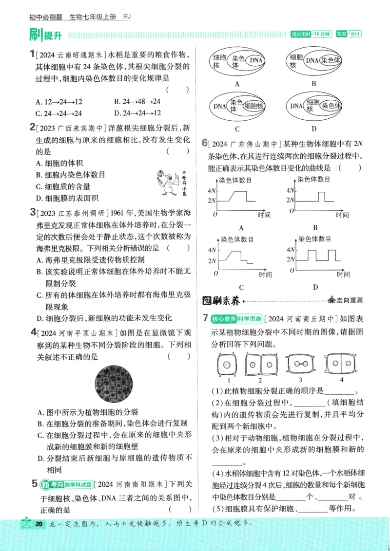 2025版《初中必刷题》生物RJ7上_初中全科电子版试卷练习试题_25初中必刷题_2025版《初中必刷题》生物RJ7上
