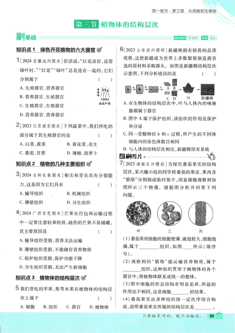 2025版《初中必刷题》生物RJ7上_初中全科电子版试卷练习试题_25初中必刷题_2025版《初中必刷题》生物RJ7上