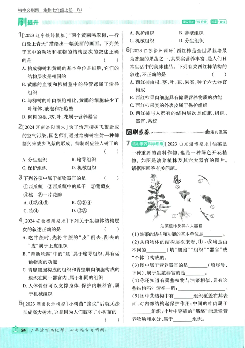 2025版《初中必刷题》生物RJ7上_初中全科电子版试卷练习试题_25初中必刷题_2025版《初中必刷题》生物RJ7上