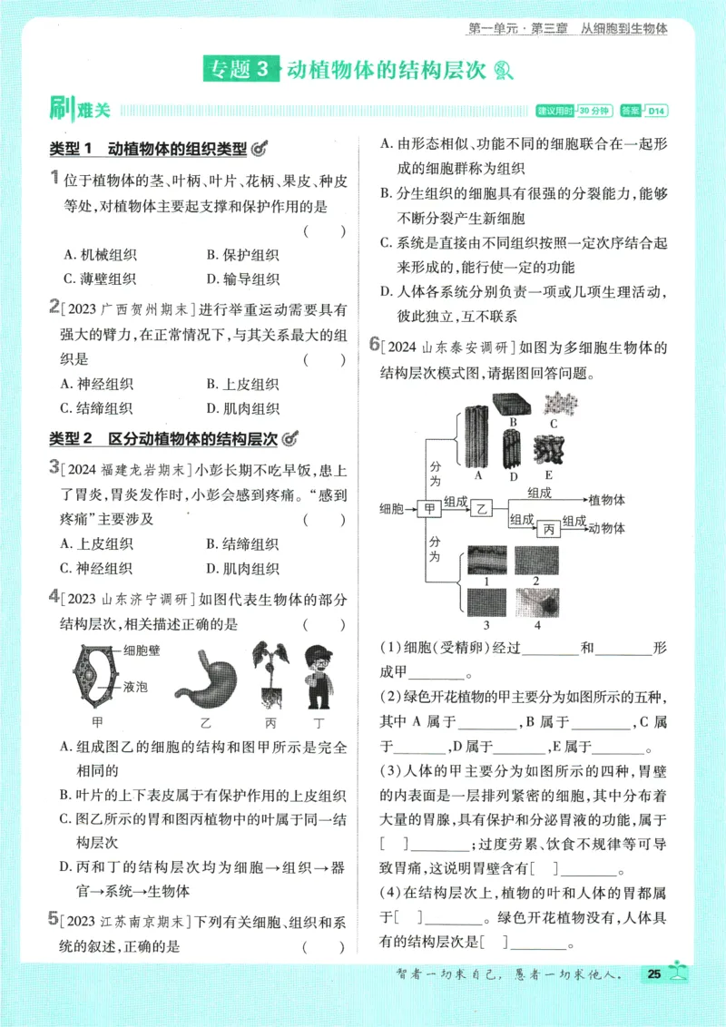 2025版《初中必刷题》生物RJ7上_初中全科电子版试卷练习试题_25初中必刷题_2025版《初中必刷题》生物RJ7上