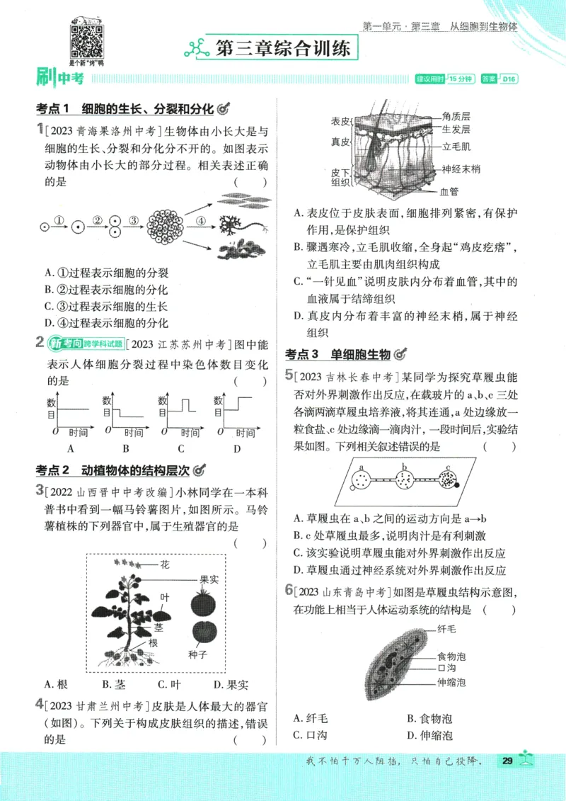 2025版《初中必刷题》生物RJ7上_初中全科电子版试卷练习试题_25初中必刷题_2025版《初中必刷题》生物RJ7上