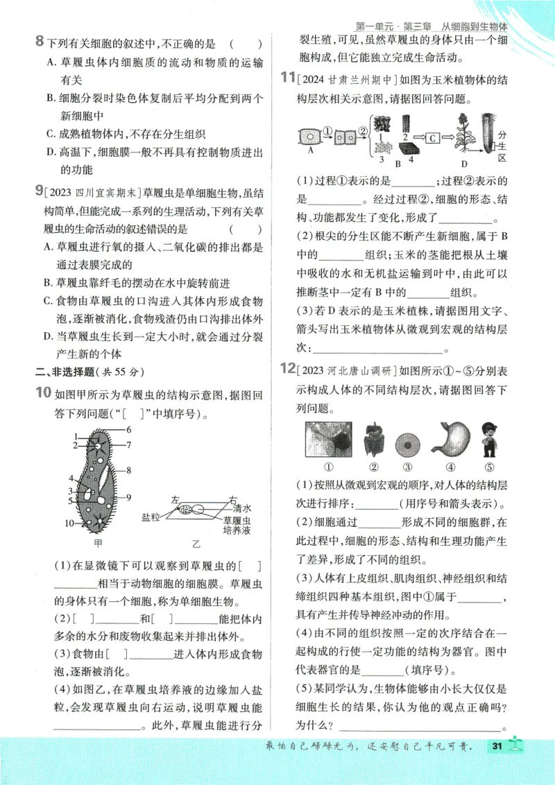 2025版《初中必刷题》生物RJ7上_初中全科电子版试卷练习试题_25初中必刷题_2025版《初中必刷题》生物RJ7上