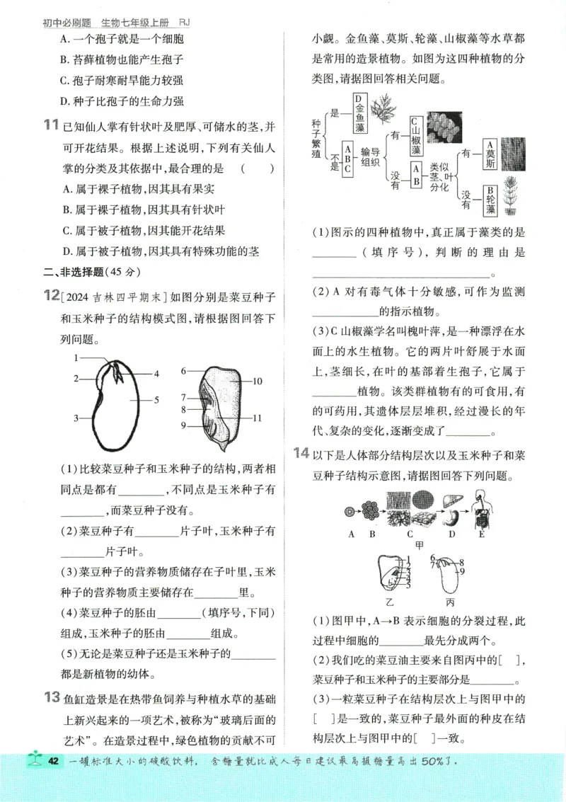 2025版《初中必刷题》生物RJ7上_初中全科电子版试卷练习试题_25初中必刷题_2025版《初中必刷题》生物RJ7上