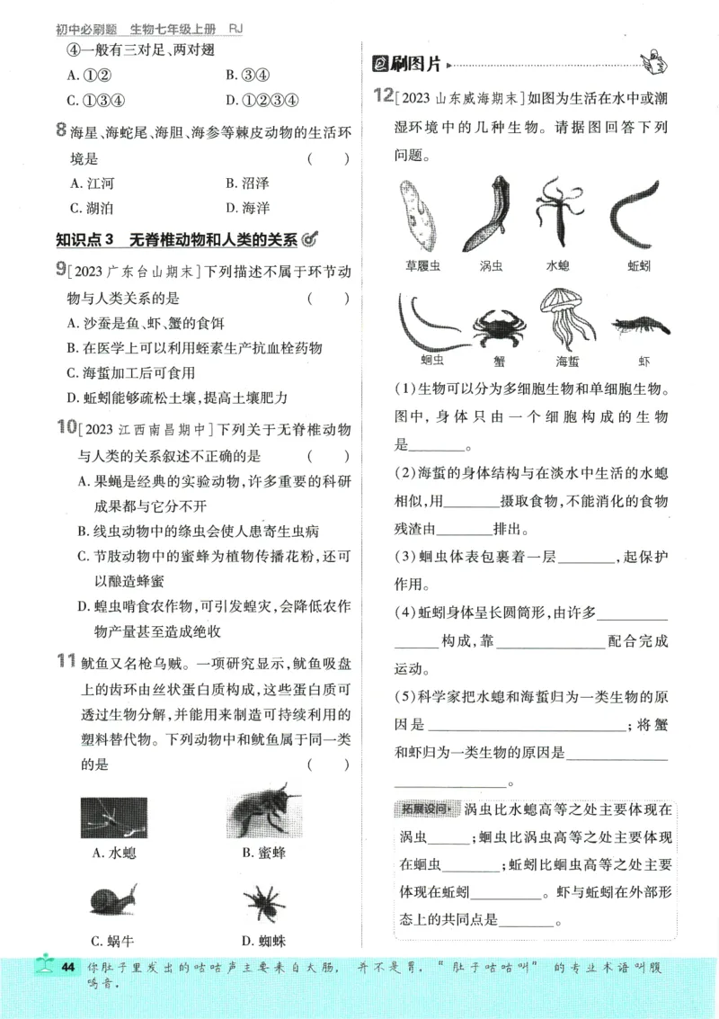 2025版《初中必刷题》生物RJ7上_初中全科电子版试卷练习试题_25初中必刷题_2025版《初中必刷题》生物RJ7上