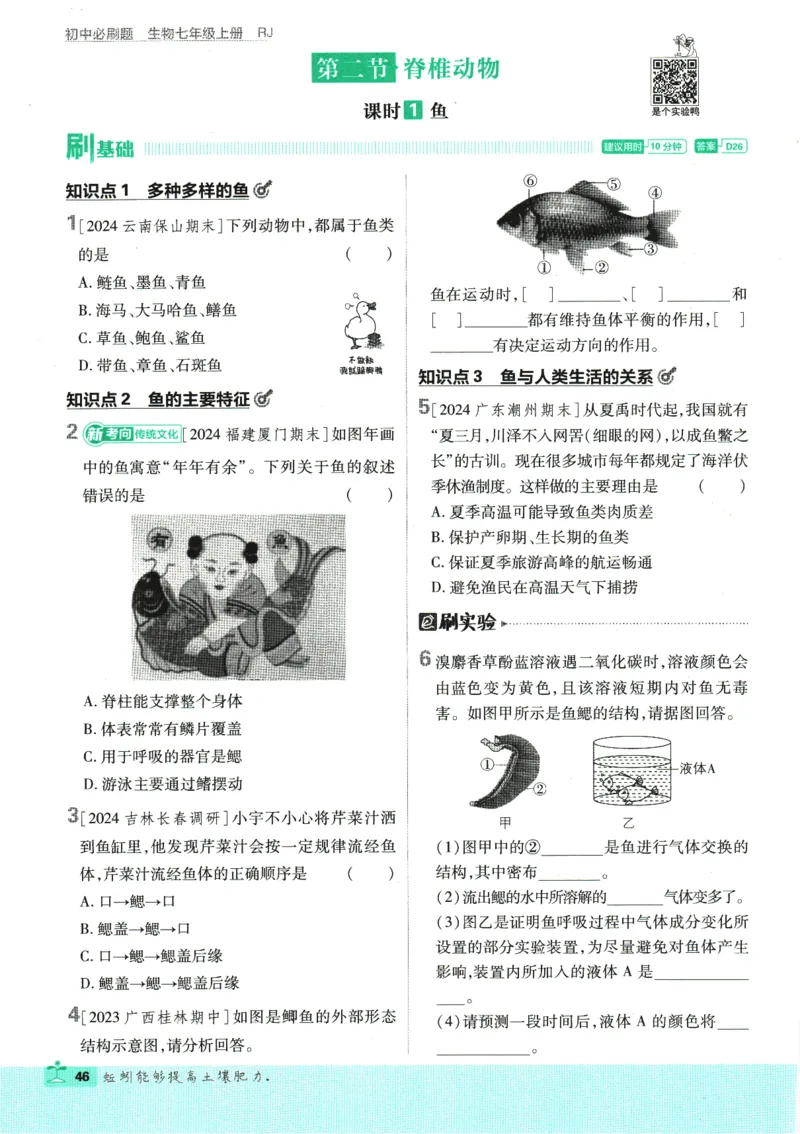 2025版《初中必刷题》生物RJ7上_初中全科电子版试卷练习试题_25初中必刷题_2025版《初中必刷题》生物RJ7上