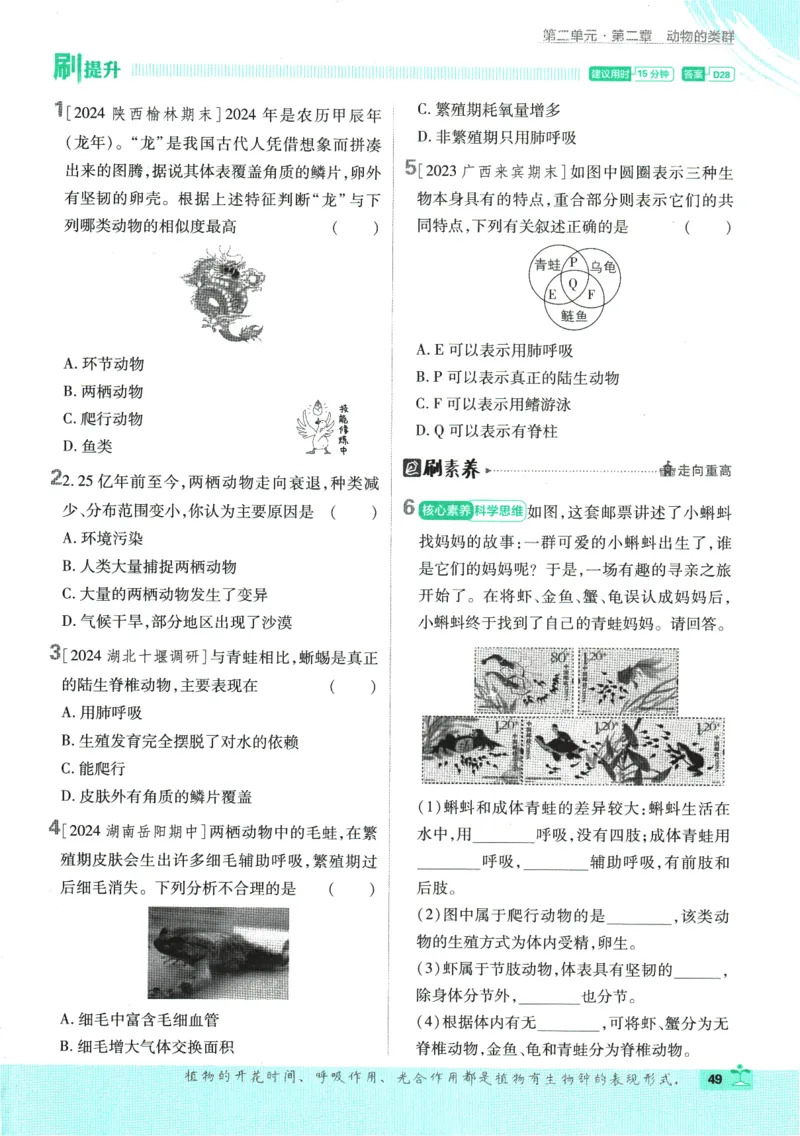 2025版《初中必刷题》生物RJ7上_初中全科电子版试卷练习试题_25初中必刷题_2025版《初中必刷题》生物RJ7上
