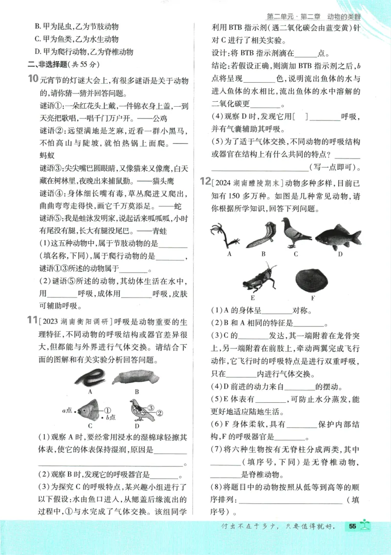 2025版《初中必刷题》生物RJ7上_初中全科电子版试卷练习试题_25初中必刷题_2025版《初中必刷题》生物RJ7上