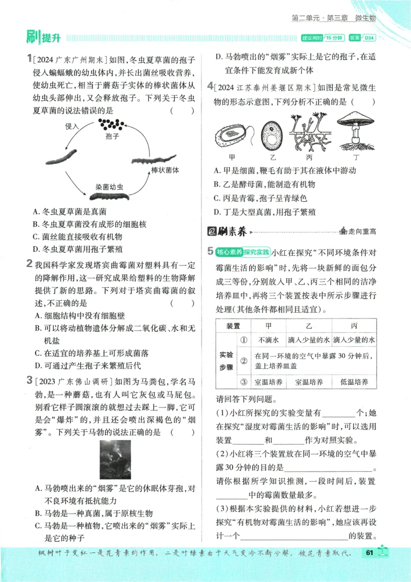 2025版《初中必刷题》生物RJ7上_初中全科电子版试卷练习试题_25初中必刷题_2025版《初中必刷题》生物RJ7上
