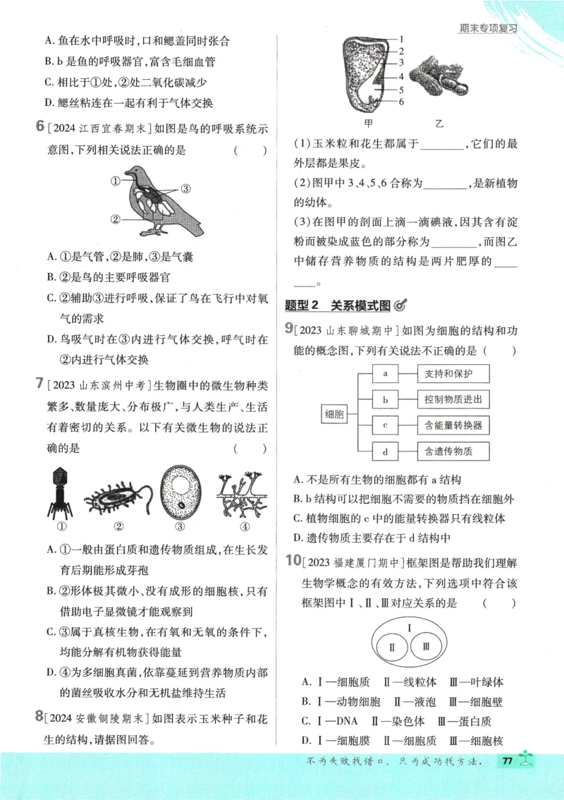 2025版《初中必刷题》生物RJ7上_初中全科电子版试卷练习试题_25初中必刷题_2025版《初中必刷题》生物RJ7上