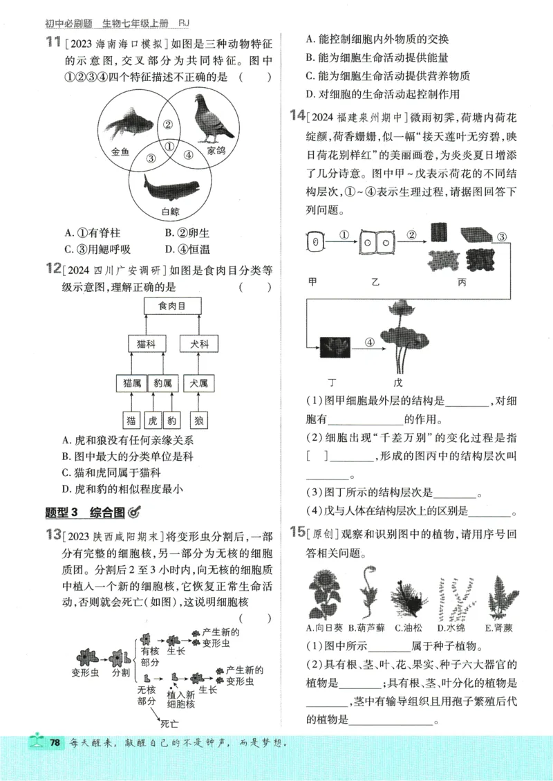 2025版《初中必刷题》生物RJ7上_初中全科电子版试卷练习试题_25初中必刷题_2025版《初中必刷题》生物RJ7上
