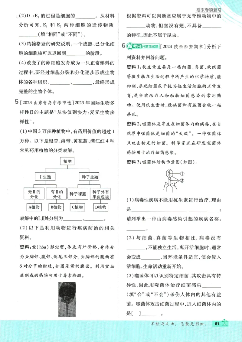 2025版《初中必刷题》生物RJ7上_初中全科电子版试卷练习试题_25初中必刷题_2025版《初中必刷题》生物RJ7上