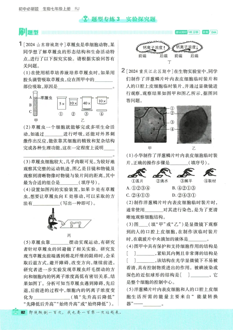 2025版《初中必刷题》生物RJ7上_初中全科电子版试卷练习试题_25初中必刷题_2025版《初中必刷题》生物RJ7上