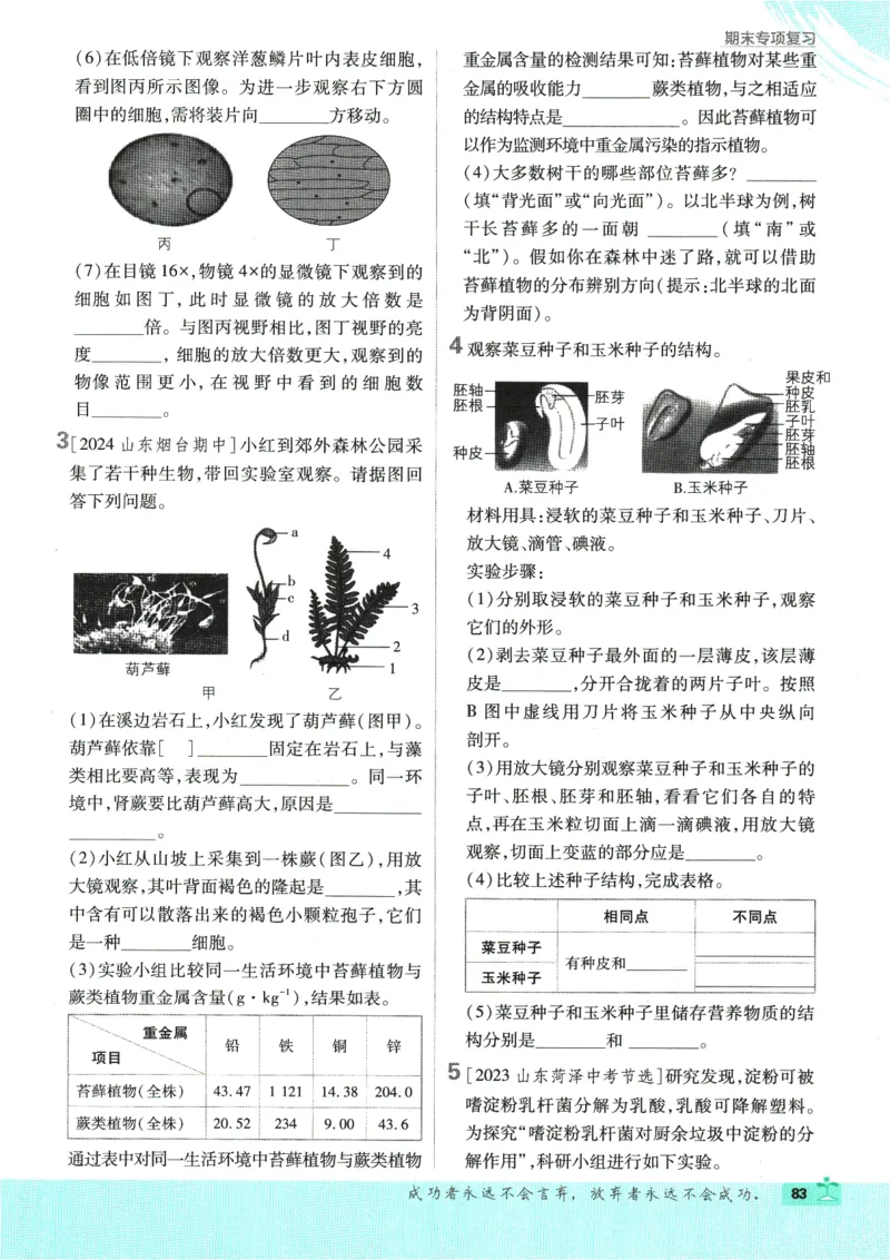 2025版《初中必刷题》生物RJ7上_初中全科电子版试卷练习试题_25初中必刷题_2025版《初中必刷题》生物RJ7上