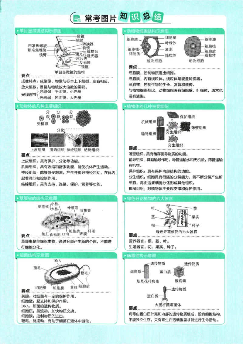 2025版《初中必刷题》生物RJ7上_初中全科电子版试卷练习试题_25初中必刷题_2025版《初中必刷题》生物RJ7上