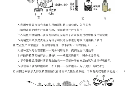 2024年中考押题预测卷（武汉卷）-生物（考试版）A4_初中全科电子版试卷练习试题_生物_2024中考模拟题生物(1)_押题预测