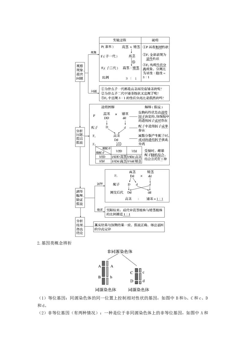 专题14基因的分离定律（串讲）（原卷版）_新高考复习资料_2024年新高考复习资料_一轮复习资料_完备战2024年高考生物一轮复习串讲精练（新高考专用）_串讲