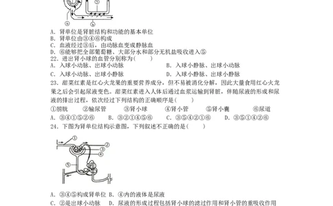 4.5人体内废物的排出-（人教版）（原卷版）_初中全科电子版试卷练习试题_生物_生物人教版7下练习_人教生物7年级下课时练习40份