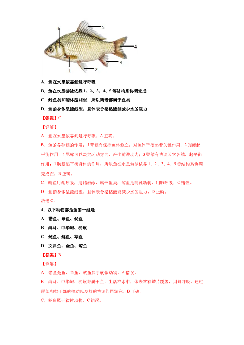 5.1.4鱼（练习）（解析版）_初中全科电子版试卷练习试题_生物_生物8上练习_人教生物8年级上课时练习37份_第1套八年级生物上册课时练习（人教版）16份