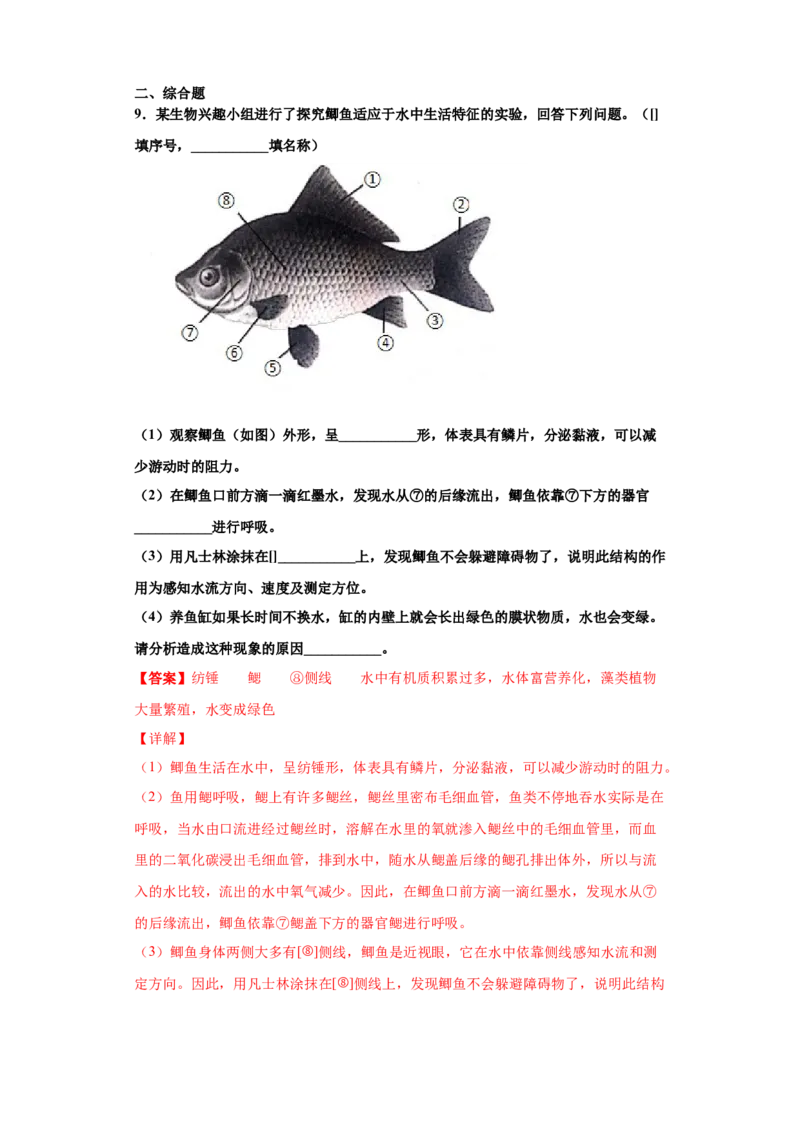 5.1.4鱼（练习）（解析版）_初中全科电子版试卷练习试题_生物_生物8上练习_人教生物8年级上课时练习37份_第1套八年级生物上册课时练习（人教版）16份