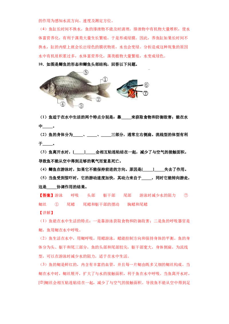5.1.4鱼（练习）（解析版）_初中全科电子版试卷练习试题_生物_生物8上练习_人教生物8年级上课时练习37份_第1套八年级生物上册课时练习（人教版）16份