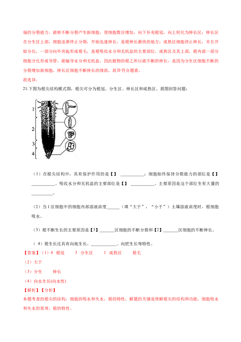 专题3.2.2植株的生长（解析版）_初中全科电子版试卷练习试题_生物_生物人教版7上练习&mdash;24新版已更新_人教生物7年级上课时练习39份_七年级生物上册课时练习（人教版）18份