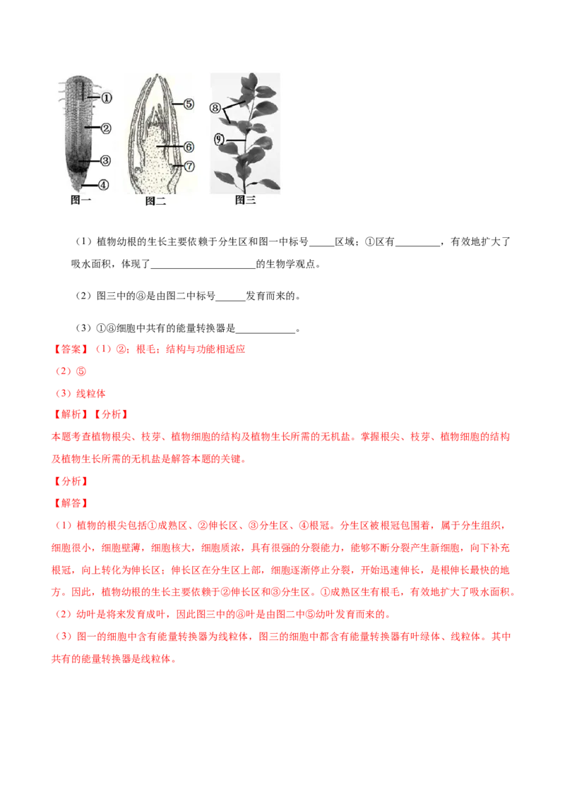 专题3.2.2植株的生长（解析版）_初中全科电子版试卷练习试题_生物_生物人教版7上练习&mdash;24新版已更新_人教生物7年级上课时练习39份_七年级生物上册课时练习（人教版）18份