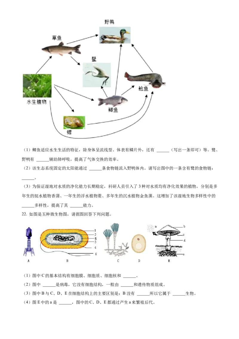 06八年级下学期期中生物试题（原卷版）_初中全科电子版试卷练习试题_生物_生物8下练习_人教生物8年级下期中试卷10份