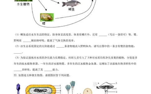 06八年级下学期期中生物试题（原卷版）_初中全科电子版试卷练习试题_生物_生物8下练习_人教生物8年级下期中试卷10份