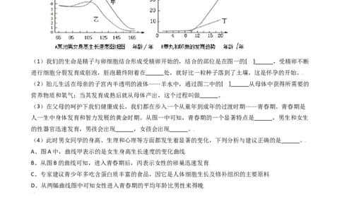 4.1.3青春期（原卷版）_初中全科电子版试卷练习试题_生物_生物人教版7下练习_人教生物7年级下课时练习40份_第2套七年级生物下册课时练习（人教版）20份