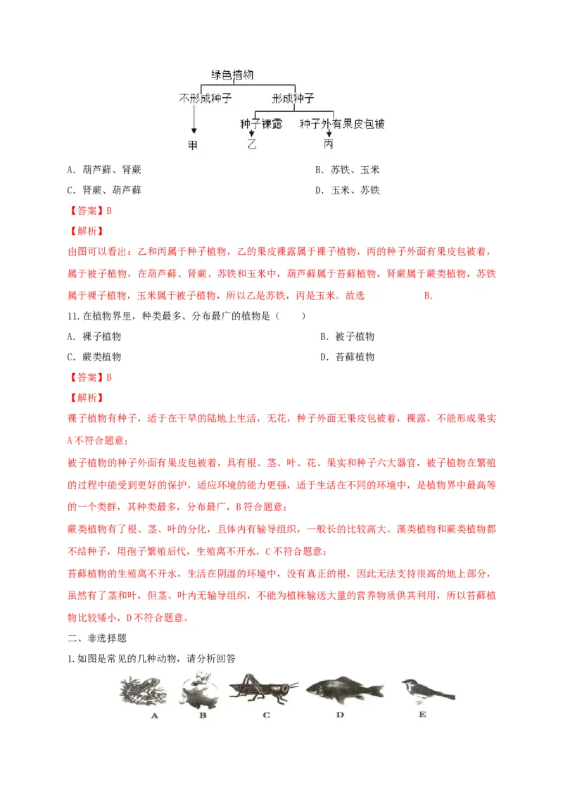 6.1.1.尝试对生物进行分类（备作业）-（人教版）（解析版）_初中全科电子版试卷练习试题_生物_生物8上练习_人教生物8年级上课时练习37份