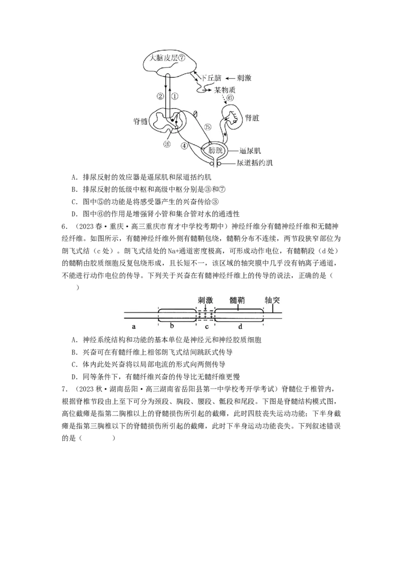 专题16内环境稳态和神经调节（原卷版）_通用版（老高考）复习资料_2024年复习资料_完备战2024年高考生物一轮复习抢分特训（全国通用）