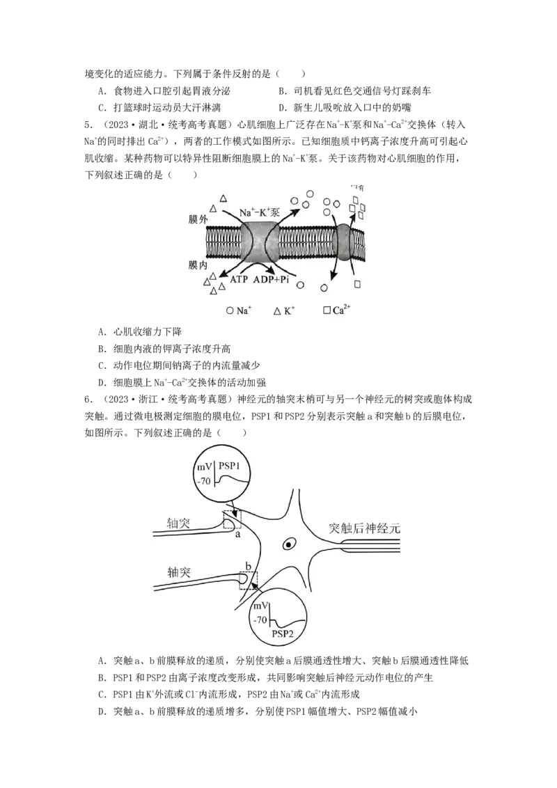 专题16内环境稳态和神经调节（原卷版）_通用版（老高考）复习资料_2024年复习资料_完备战2024年高考生物一轮复习抢分特训（全国通用）