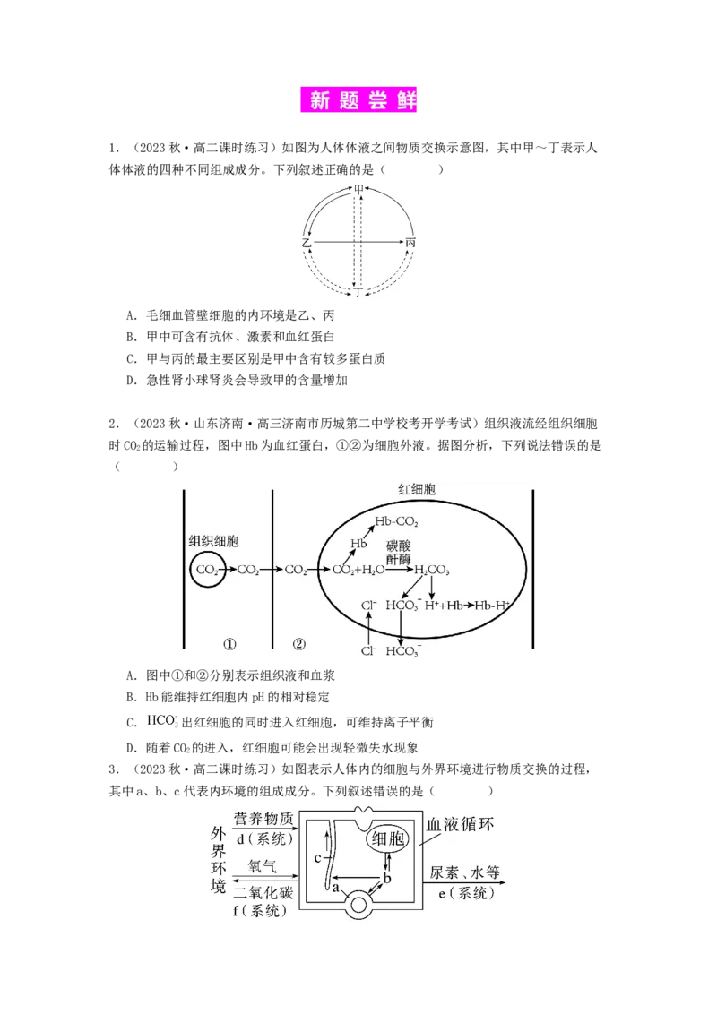 专题16内环境稳态和神经调节（原卷版）_通用版（老高考）复习资料_2024年复习资料_完备战2024年高考生物一轮复习抢分特训（全国通用）