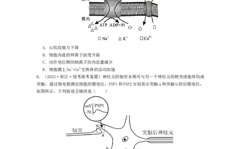专题16内环境稳态和神经调节（原卷版）_通用版（老高考）复习资料_2024年复习资料_完备战2024年高考生物一轮复习抢分特训（全国通用）