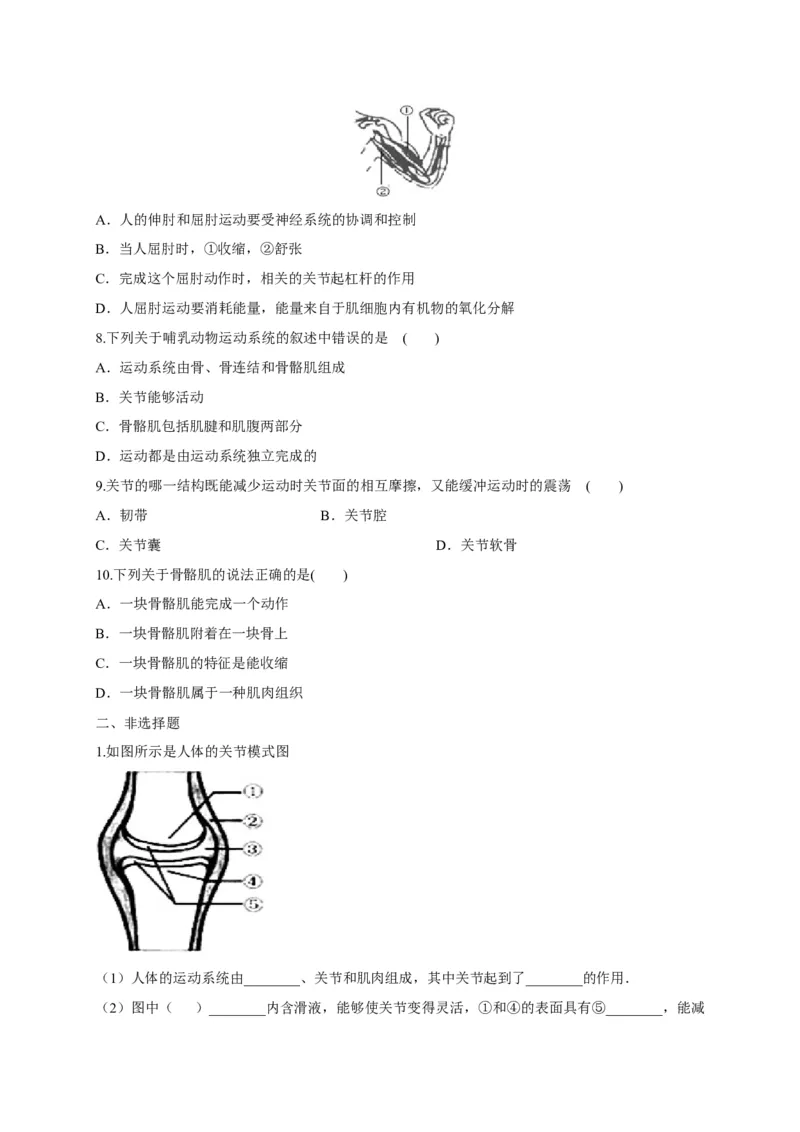 5.2.1动物的运动（备作业）-（人教版）（原卷版）_初中全科电子版试卷练习试题_生物_生物8上练习_人教生物8年级上课时练习37份