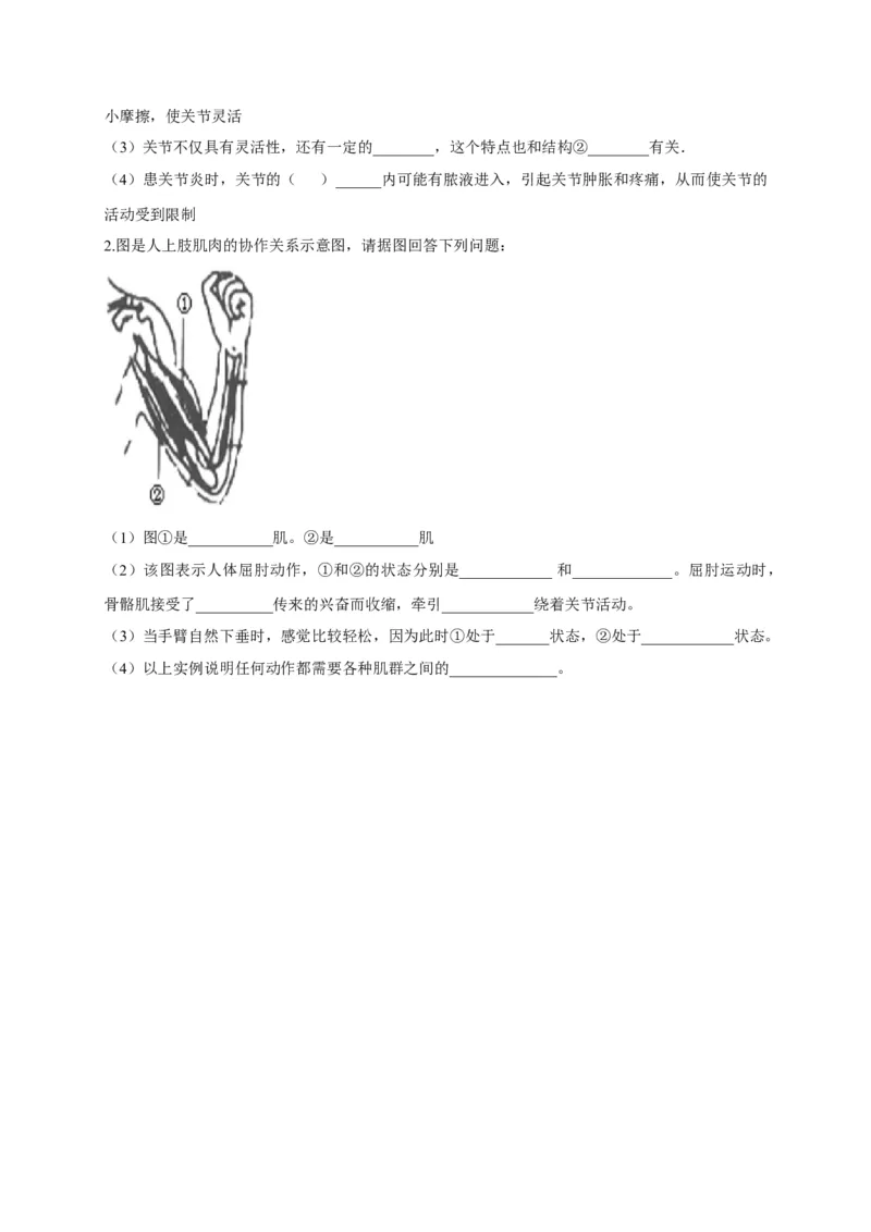 5.2.1动物的运动（备作业）-（人教版）（原卷版）_初中全科电子版试卷练习试题_生物_生物8上练习_人教生物8年级上课时练习37份