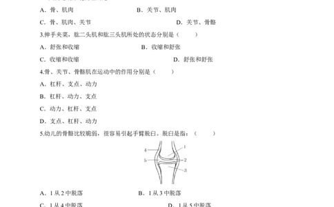 5.2.1动物的运动（备作业）-（人教版）（原卷版）_初中全科电子版试卷练习试题_生物_生物8上练习_人教生物8年级上课时练习37份