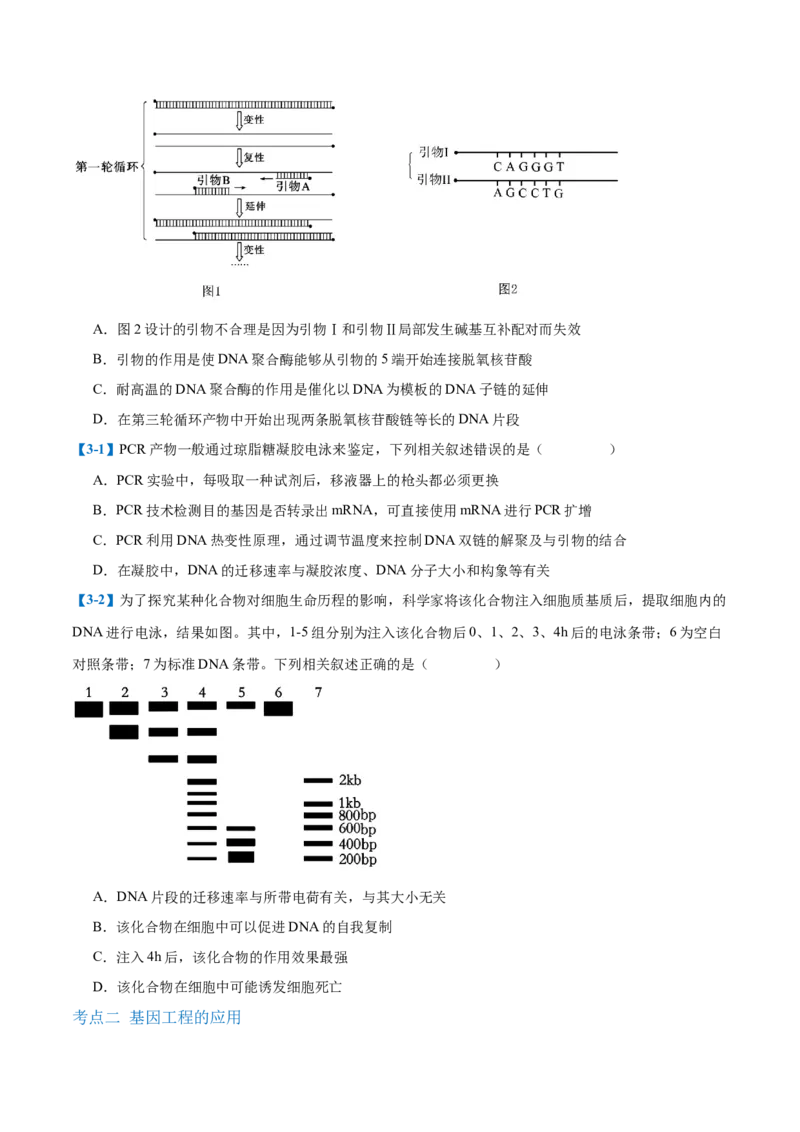 专题19基因工程与生物技术安全（10大题型）（原卷版）_2025年新高考资料_一轮复习_备战2025年高考生物一轮复习题型全覆盖（新高考通用）