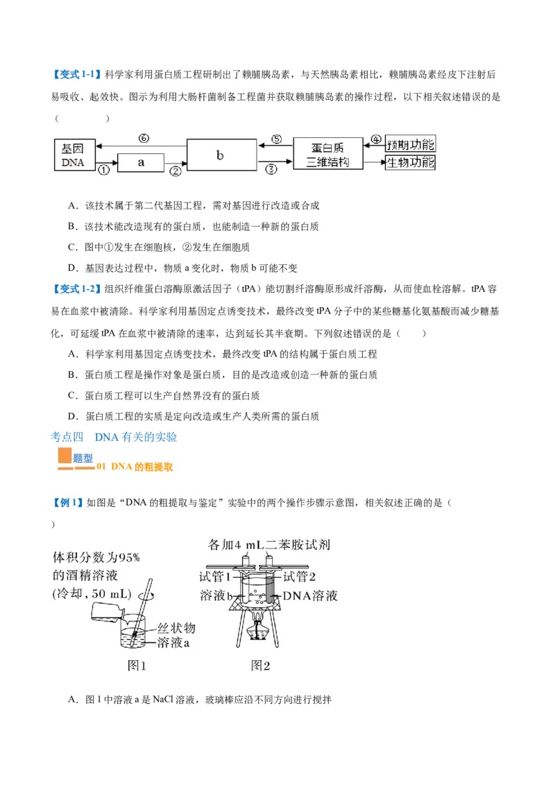 专题19基因工程与生物技术安全（10大题型）（原卷版）_2025年新高考资料_一轮复习_备战2025年高考生物一轮复习题型全覆盖（新高考通用）