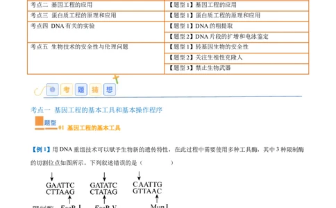 专题19基因工程与生物技术安全（10大题型）（原卷版）_2025年新高考资料_一轮复习_备战2025年高考生物一轮复习题型全覆盖（新高考通用）