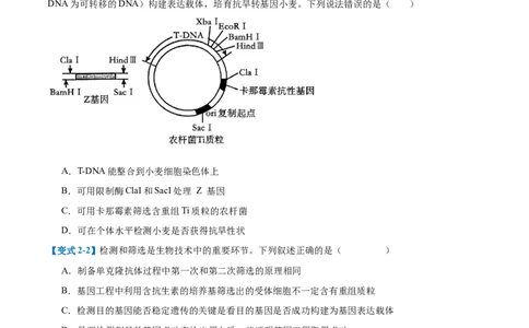 专题19基因工程与生物技术安全（10大题型）（原卷版）_2025年新高考资料_一轮复习_备战2025年高考生物一轮复习题型全覆盖（新高考通用）