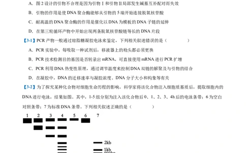 专题19基因工程与生物技术安全（10大题型）（原卷版）_2025年新高考资料_一轮复习_备战2025年高考生物一轮复习题型全覆盖（新高考通用）
