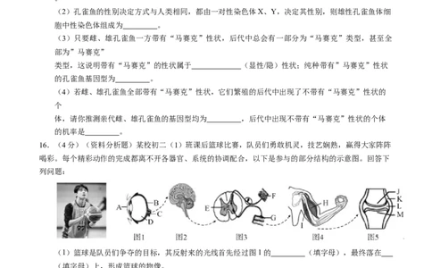 2024年中考押题预测卷02（辽宁卷）-生物（考试版A4）_初中全科电子版试卷练习试题_生物_2024中考模拟题生物(1)_押题预测