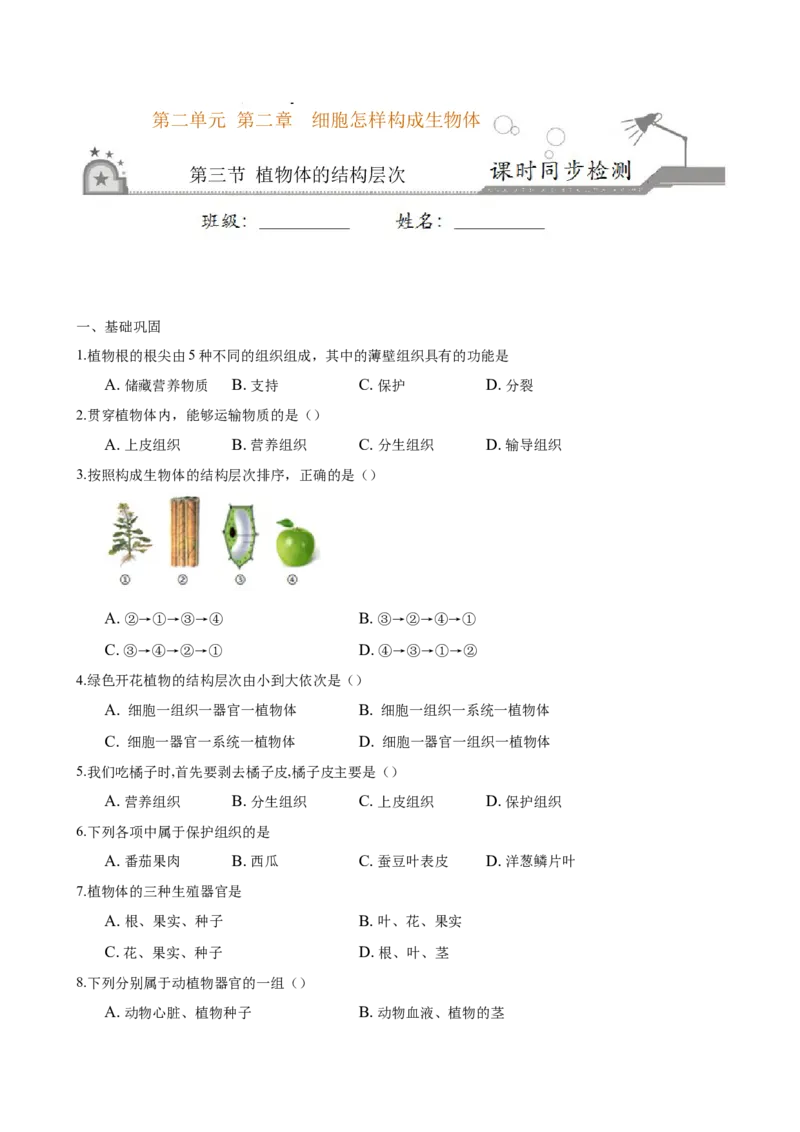 专题2.2.3植物体的结构层次（原卷板）_初中全科电子版试卷练习试题_生物_生物人教版7上练习&mdash;24新版已更新_人教生物7年级上课时练习39份