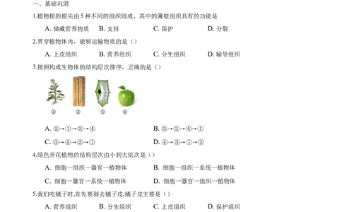 专题2.2.3植物体的结构层次（原卷板）_初中全科电子版试卷练习试题_生物_生物人教版7上练习&mdash;24新版已更新_人教生物7年级上课时练习39份