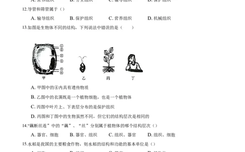 专题2.2.3植物体的结构层次（原卷板）_初中全科电子版试卷练习试题_生物_生物人教版7上练习&mdash;24新版已更新_人教生物7年级上课时练习39份