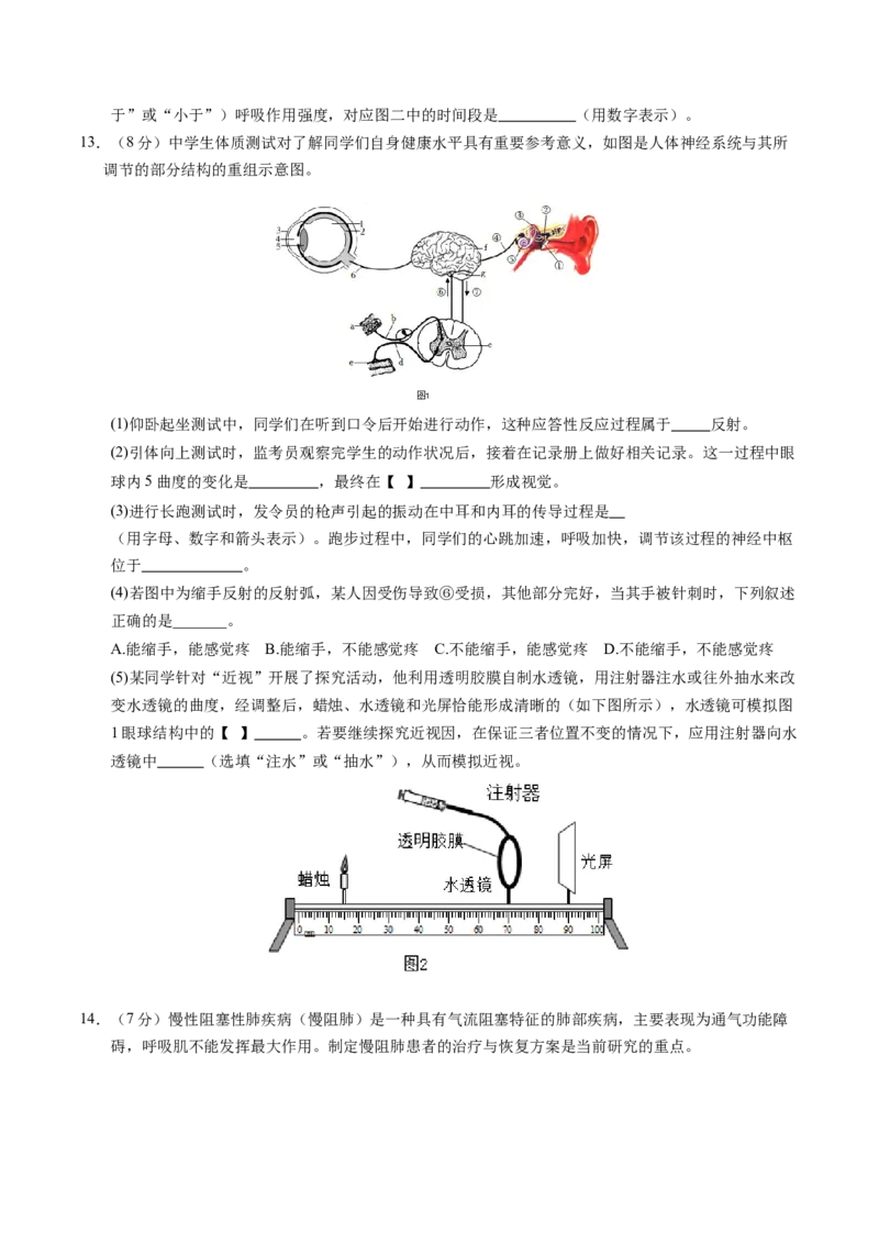 2024年中考押题预测卷（湖北卷）-生物（考试版）A4_初中全科电子版试卷练习试题_生物_2024中考模拟题生物(1)_押题预测